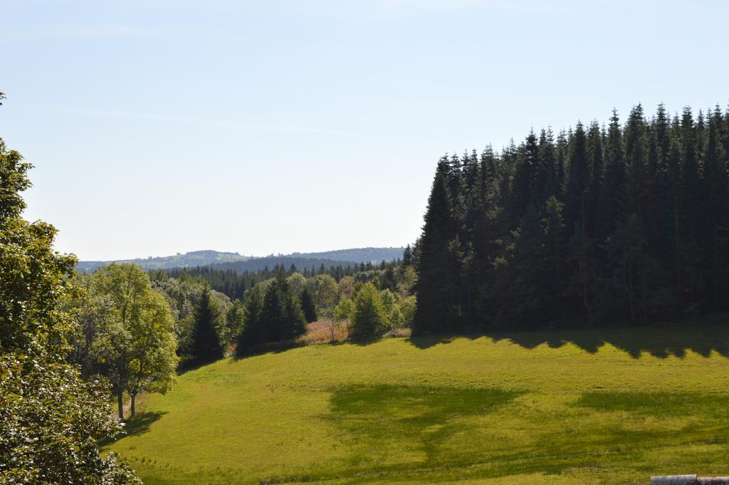 Appartement Le Relais du Grand Air à Le Chambon-sur-Lignon Extérieur photo